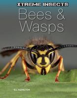Bees & wasps 1624036872 Book Cover