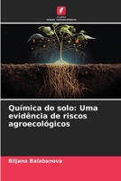Química do solo: Uma evidência de riscos agroecológicos (Portuguese Edition) 6208217563 Book Cover