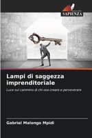 Lampi di saggezza imprenditoriale (Italian Edition) 6202415274 Book Cover