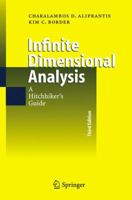 Infinite Dimensional Analysis: A Hitchhiker's Guide 3540326960 Book Cover