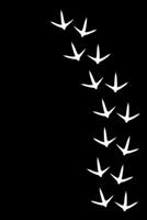 Thanksgiving Journal: Journal / Notebook / Diary Gift - 6x9 - 120 pages - White Lined Paper - Matte Cover 1700730258 Book Cover