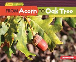 From Acorn to Oak Tree from Acorn to Oak Tree 1512456217 Book Cover