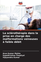 La sclérothérapie dans la prise en charge des malformations veineuses à faible débit 6206878198 Book Cover