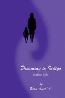 Dreaming in Indigo 159286404X Book Cover