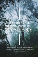 Don't Just Pray to Prosper, Unravel the Mystery: The complete secret to unlocking the treasures of darkness, and riches stored in secret places! B08KJ2MVQW Book Cover