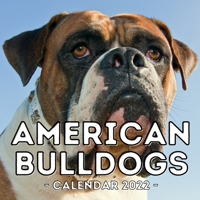 American Bulldogs Calendar 2022: 16-Month Calendar, Cute Gift Idea For Bulldog Lovers Or Owners Men And Women B09BCCGHPG Book Cover