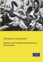 Reptilien Und Amphibien Deutschlands in Wort Und Bild 1016508662 Book Cover