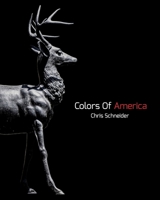 Colors Of America 1006909702 Book Cover