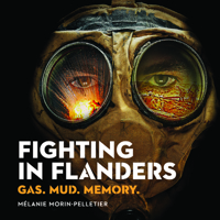 Gas, Mud and Memory: Key Battles of the First World War 0660203065 Book Cover