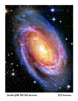 Secrets of the Tell Tale Universe: The Hidden Universe 1725902478 Book Cover