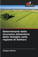 Determinanti della sicurezza alimentare delle famiglie nella regione di Amhara 6206245616 Book Cover