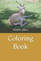 Coloring Book B0C6BYVT95 Book Cover