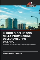 Il Ruolo Delle Ong Nella Promozione Dello Sviluppo Urbano 6206848558 Book Cover