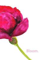 Bloom 152399245X Book Cover