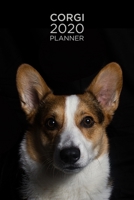Planner: Increase productivity, improve time management, reach your goals: Portrait Corgi: Modern artistic photography style cover design (Diary) 1692266039 Book Cover
