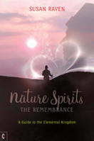Nature Spirits: The Remembrance: A Guide to the Elemental Kingdom 1905570376 Book Cover