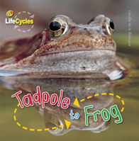 Tadpole to Frog 1595668136 Book Cover