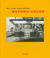 BEFORE THE COLOR FADES 3869301228 Book Cover