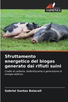 Sfruttamento energetico del biogas generato dai rifiuti suini 6209023061 Book Cover