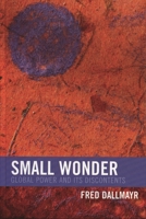 Small Wonder: Global Power and Its Discontents (New Critical Theory) 0742549682 Book Cover
