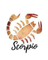 Scorpio: Scorpio Cornell Notes 1727783530 Book Cover