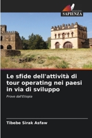 Le sfide dell'attività di tour operating nei paesi in via di sviluppo (Italian Edition) 6207865510 Book Cover
