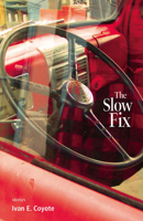 The Slow Fix 1551522470 Book Cover