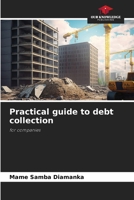 Practical guide to debt collection 6208236665 Book Cover