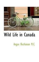 Wild Life in Canada 1117951502 Book Cover