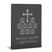 Pocket Guide to Novenas 1954881835 Book Cover