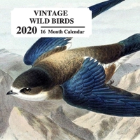 Vintage Wild Birds 2020: 16 Month Calendar : Beautiful Paintings and Illustrations of Different Species: Great Book Gift for Bird Lovers and Watchers 1673366082 Book Cover