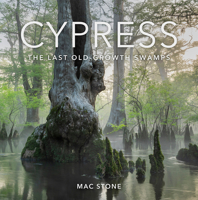 Cypress: The Last Old-Growth Swamps 0813079632 Book Cover
