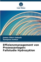 Effizienzmanagement von Prozessanlagen: Fallstudie Hydrozyklon (German Edition) 6208201691 Book Cover