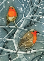 Wild Birds Pocket Notebook: Robin 1780279361 Book Cover