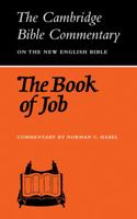 The Book of Job: A Commentary, Old Testament Library 0521099439 Book Cover