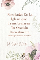 Necedades En La Iglesia Que Transformaran Tu Oracion Radicalmente: las tonterias o idioteces que encontraras en tu iglesia B0FPCK964N Book Cover