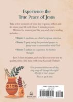 180 Prayers for a Peaceful Spirit: 3-Minute Prayers to Relieve Stress (3-Minute Devotions) 1636098959 Book Cover