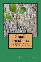 Small Incidents: A Damn Near True Remembrance 1535539992 Book Cover