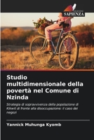 Studio multidimensionale della povertà nel Comune di Nzinda: Strategia di sopravvivenza della popolazione di Kikwit di fronte alla disoccupazione: il caso dei negozi 6206005712 Book Cover