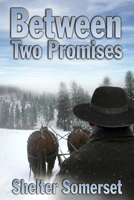 Between Two Promises 1613721625 Book Cover
