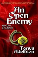 An Open Enemy 0985576634 Book Cover