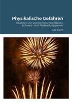 Physikalische Gefahren: Reaktion von pyrotechnischen Sätzen, Schwarz- und Treibladungspulver 1447760557 Book Cover