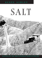 Salt (Brittingham Prize in Poetry (Series).) 0299131440 Book Cover