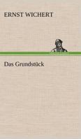 Das Grundst Ck 3842413130 Book Cover