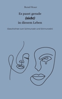 Es passt gerade nicht in diesem Leben: (Geschichten zum Schmunzeln und Stirnrunzeln) (German Edition) 3769303962 Book Cover