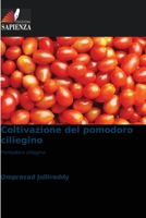 Coltivazione del pomodoro ciliegino: Pomodoro ciliegino 620633547X Book Cover