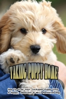 Taking Puppy Home: How To Grow Your Cockapoo Puppy Into A Happy, Obedient & Well Mannered Dog: How To Stop Whining B09C1YV9DD Book Cover