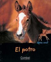 Little Horses (Born to Be Wild) 8478642331 Book Cover