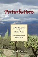 Perturbations 1669819728 Book Cover