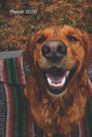 Planer 2020: Wochenplaner f�r Januar bis Dezember 2020; Kalender, Timer, Terminplaner und Notizbuch in einem Taschenbuch 169408034X Book Cover